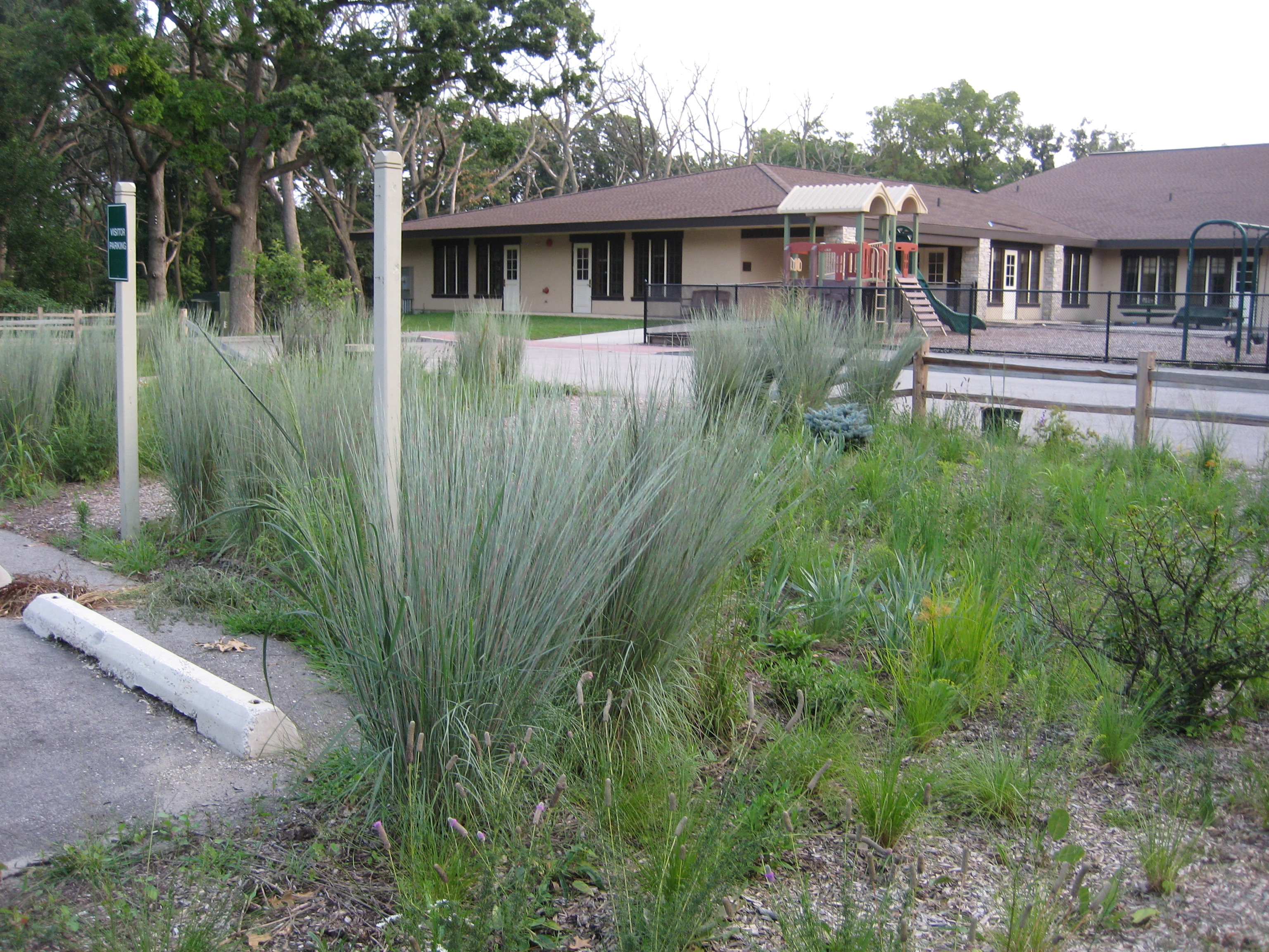 Fox Country Day School Rain Garden